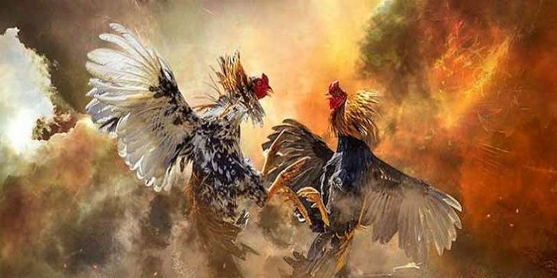 Đi hơi là bài tập không thể thiếu mỗi khi có trận đấu