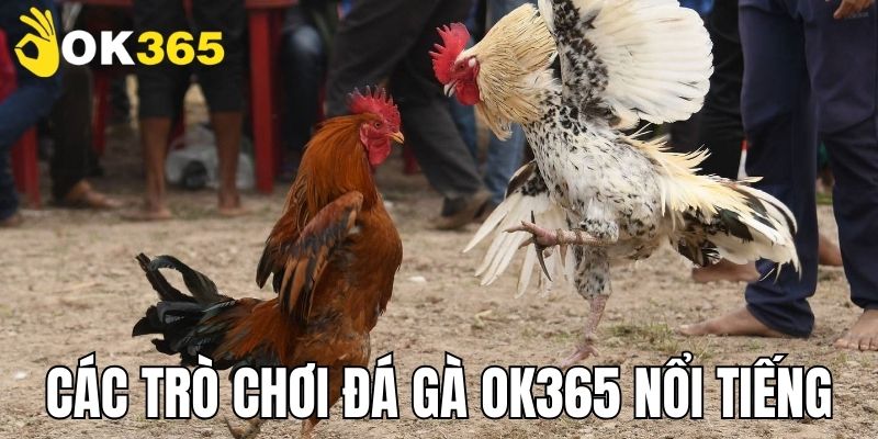 Tìm hiểu về các trò chơi đá gà nổi tiếng tại OK365